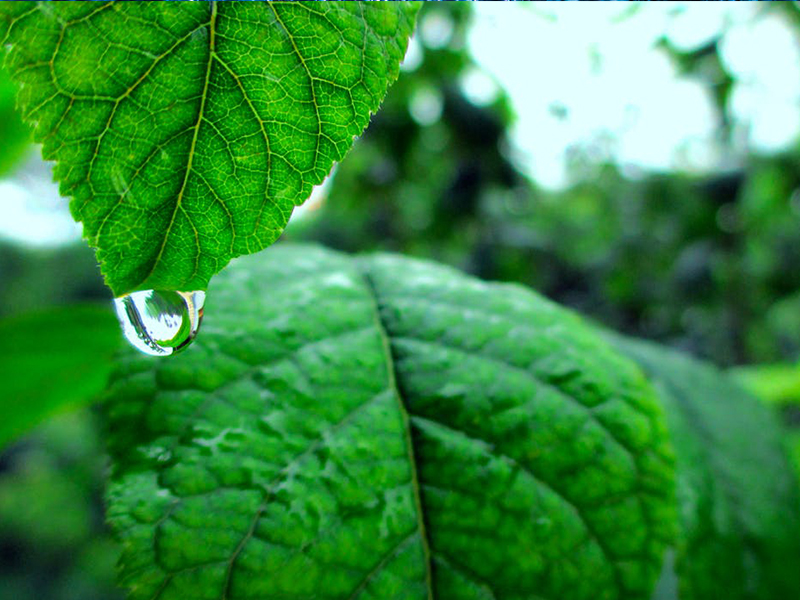 It takes seventeen million barrels of oil equivalent to produce plastic for bottled water